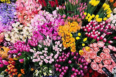 前PlayStation CEO：日本游戏工作室未能吸引全球观众