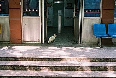 《博德之门3》趣味BUG：温柔女子一直“照看”玩家